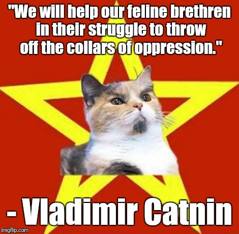 lenin cat | "We will help our feline brethren in their struggle to throw off the collars of oppression."; - Vladimir Catnin | image tagged in lenin cat | made w/ Imgflip meme maker