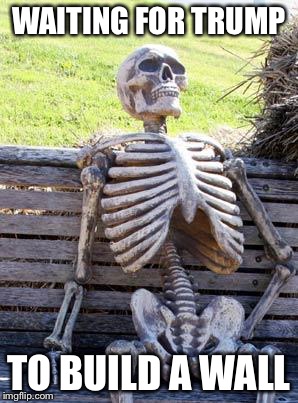 Waiting Skeleton | WAITING FOR TRUMP; TO BUILD A WALL | image tagged in memes,waiting skeleton | made w/ Imgflip meme maker