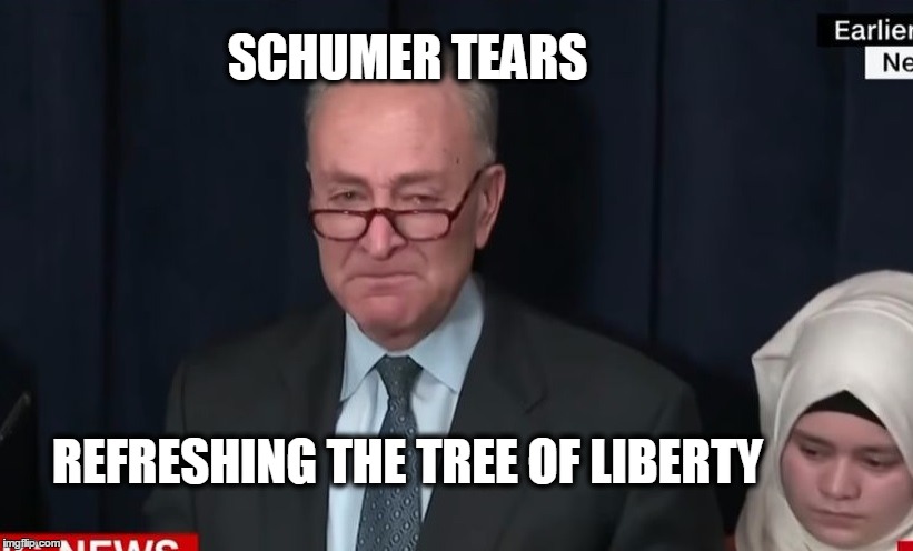 SCHUMER TEARS; REFRESHING THE TREE OF LIBERTY | image tagged in triggered,chuck schumer,liberal tears | made w/ Imgflip meme maker