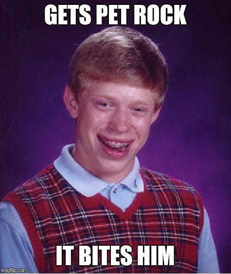 Bad Luck Brian Meme | GETS PET ROCK IT BITES HIM | image tagged in memes,bad luck brian | made w/ Imgflip meme maker