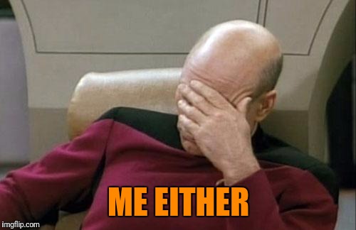 Captain Picard Facepalm Meme | ME EITHER | image tagged in memes,captain picard facepalm | made w/ Imgflip meme maker