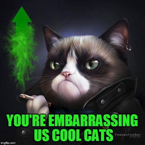 YOU'RE EMBARRASSING US COOL CATS | made w/ Imgflip meme maker