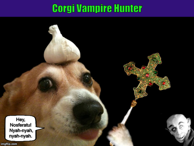 Corgi Vampire Hunter | Corgi Vampire Hunter | image tagged in vampires,vampire hunter,corgi,dogs,funny,memes | made w/ Imgflip meme maker