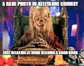 Spokes goblin  | A RARE PHOTO OF KELLYANNE CONWAY; JUST RELAXING AT HOME READING A GOOD BOOK | image tagged in politics | made w/ Imgflip meme maker