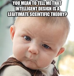 Skeptical Baby | YOU MEAN TO TELL ME THAT INTELLIGENT DESIGN IS A LEGITIMATE SCEINTIFIC THEORY? | image tagged in memes,skeptical baby | made w/ Imgflip meme maker