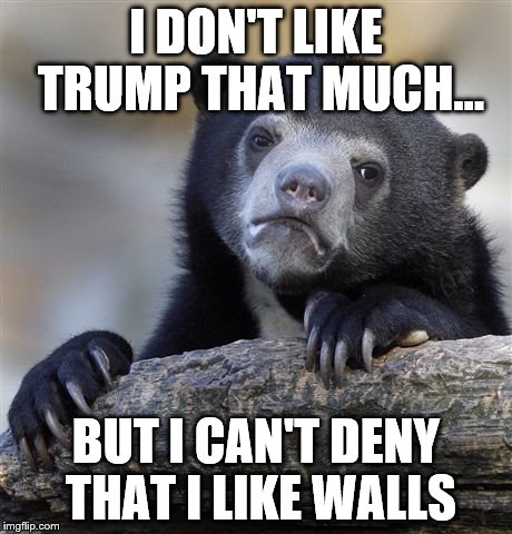Confession Bear Meme | I DON'T LIKE TRUMP THAT MUCH... BUT I CAN'T DENY THAT I LIKE WALLS | image tagged in memes,confession bear | made w/ Imgflip meme maker