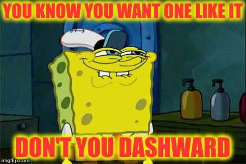 Don't You Squidward Meme | YOU KNOW YOU WANT ONE LIKE IT DON'T YOU DASHWARD | image tagged in memes,dont you squidward | made w/ Imgflip meme maker