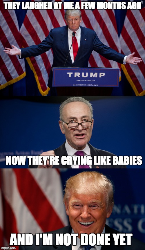 DC Politicians aren't used to someone who does what they said they would do. |  THEY LAUGHED AT ME A FEW MONTHS AGO; NOW THEY'RE CRYING LIKE BABIES; AND I'M NOT DONE YET | image tagged in donald trump,chuck schumer | made w/ Imgflip meme maker