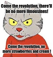 Angry Fritz the Cat | Come the revolution, there'll be no more limousines! Come the revolution, no more strawberries and cream ! | image tagged in cat | made w/ Imgflip meme maker