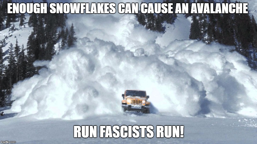 Avalanche  | ENOUGH SNOWFLAKES CAN CAUSE AN AVALANCHE; RUN FASCISTS RUN! | image tagged in donald trump,fascist,usa | made w/ Imgflip meme maker