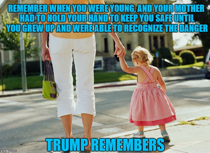 Trump Keeping America (even liberals) safe | REMEMBER WHEN YOU WERE YOUNG, AND YOUR MOTHER HAD TO HOLD YOUR HAND TO KEEP YOU SAFE UNTIL YOU GREW UP AND WERE ABLE TO RECOGNIZE THE DANGER; TRUMP REMEMBERS | image tagged in memes,retarded liberal protesters,make america great again | made w/ Imgflip meme maker