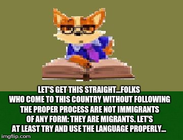 LET'S GET THIS STRAIGHT...FOLKS WHO COME TO THIS COUNTRY WITHOUT FOLLOWING THE PROPER PROCESS ARE NOT IMMIGRANTS OF ANY FORM: THEY ARE MIGRANTS. LET'S AT LEAST TRY AND USE THE LANGUAGE PROPERLY... | image tagged in politics,political | made w/ Imgflip meme maker