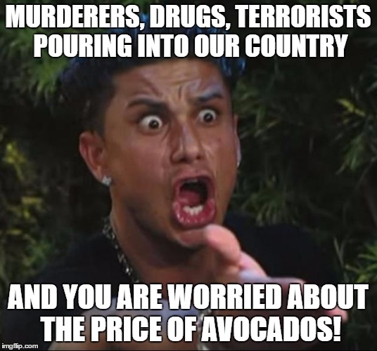 Your brain is an avocado! | MURDERERS, DRUGS, TERRORISTS POURING INTO OUR COUNTRY; AND YOU ARE WORRIED ABOUT THE PRICE OF AVOCADOS! | image tagged in memes,dj pauly d | made w/ Imgflip meme maker