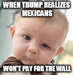 Skeptical Baby | WHEN TRUMP REALIZES MEXICANS; WON'T PAY FOR THE WALL | image tagged in memes,skeptical baby | made w/ Imgflip meme maker