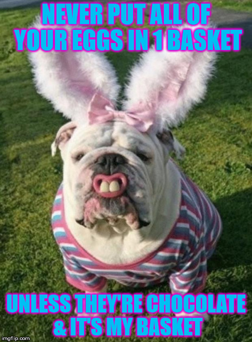 Best Bulldog Bunny | NEVER PUT ALL OF YOUR EGGS IN 1 BASKET; UNLESS THEY'RE CHOCOLATE & IT'S MY BASKET | image tagged in best bulldog bunny | made w/ Imgflip meme maker