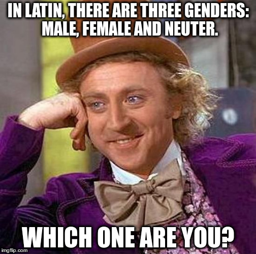 Creepy Condescending Wonka Meme | IN LATIN, THERE ARE THREE GENDERS: MALE, FEMALE AND NEUTER. WHICH ONE ARE YOU? | image tagged in memes,creepy condescending wonka | made w/ Imgflip meme maker