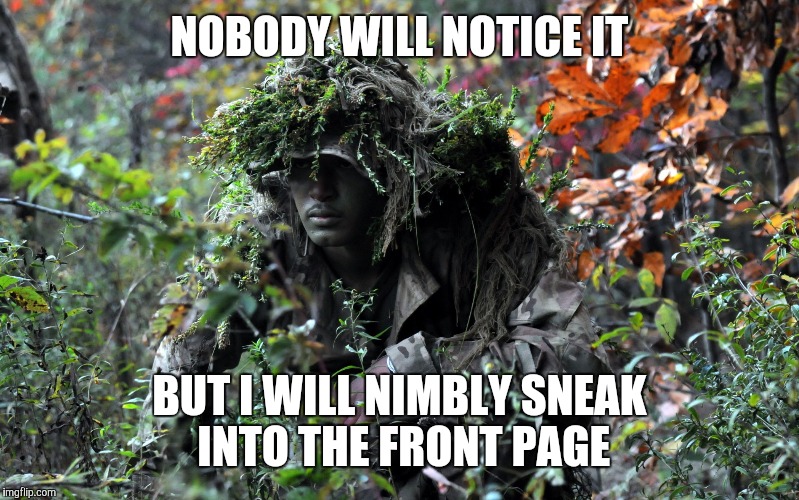 Sure shot | NOBODY WILL NOTICE IT; BUT I WILL NIMBLY SNEAK INTO THE FRONT PAGE | image tagged in camouflage | made w/ Imgflip meme maker