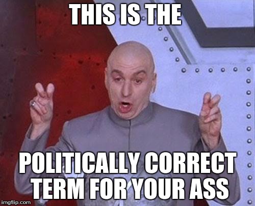 Dr Evil Laser | THIS IS THE; POLITICALLY CORRECT TERM FOR YOUR ASS | image tagged in memes,dr evil laser | made w/ Imgflip meme maker