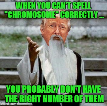 Trumpai Mei | WHEN YOU CAN'T SPELL "CHROMOSOME" CORRECTLY ... YOU PROBABLY DON'T HAVE THE RIGHT NUMBER OF THEM | image tagged in trumpai mei | made w/ Imgflip meme maker