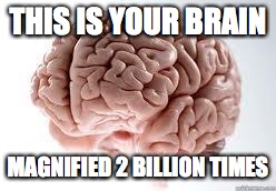 Brain | THIS IS YOUR BRAIN; MAGNIFIED 2 BILLION TIMES | image tagged in brain | made w/ Imgflip meme maker