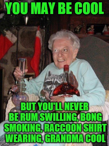 old lady partying  | YOU MAY BE COOL; BUT YOU'LL NEVER BE RUM SWILLING, BONG SMOKING, RACCOON SHIRT WEARING, GRANDMA COOL | image tagged in old lady partying | made w/ Imgflip meme maker