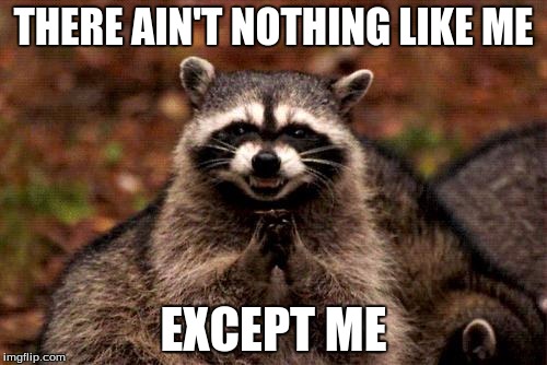 Evil Plotting Raccoon | THERE AIN'T NOTHING LIKE ME; EXCEPT ME | image tagged in memes,evil plotting raccoon | made w/ Imgflip meme maker