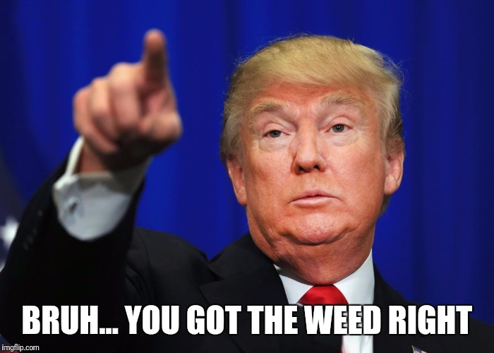 BRUH... YOU GOT THE WEED RIGHT | image tagged in donald trump,trump 2016,donald trump pointing,memes,meme,funny memes | made w/ Imgflip meme maker