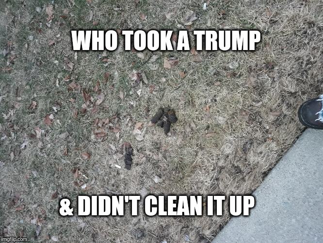 Who took a Trump on my country.  | WHO TOOK A TRUMP; & DIDN'T CLEAN IT UP | image tagged in trump meme | made w/ Imgflip meme maker