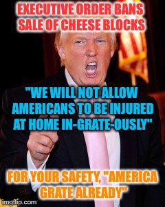 Donald Trump | EXECUTIVE ORDER BANS SALE OF CHEESE BLOCKS; "WE WILL NOT ALLOW AMERICANS TO BE INJURED AT HOME IN-GRATE-OUSLY"; FOR YOUR SAFETY, "AMERICA GRATE ALREADY" | image tagged in donald trump,memes | made w/ Imgflip meme maker