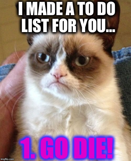 Mr. FULL OF HATE | I MADE A TO DO LIST FOR YOU... 1. GO DIE! | image tagged in memes,grumpy cat,to do list's | made w/ Imgflip meme maker