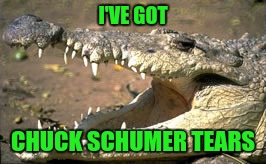 Boo Hoo | I'VE GOT; CHUCK SCHUMER TEARS | image tagged in political meme | made w/ Imgflip meme maker