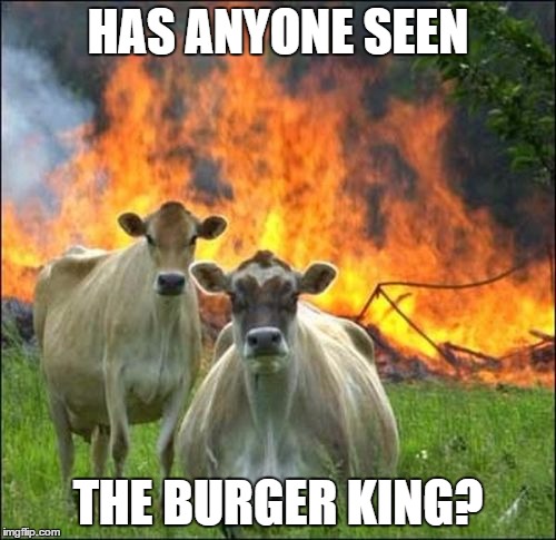 Evil Cows Meme | HAS ANYONE SEEN; THE BURGER KING? | image tagged in memes,evil cows | made w/ Imgflip meme maker