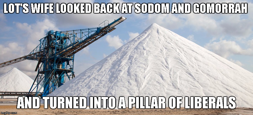 literal liberal | LOT'S WIFE LOOKED BACK AT SODOM AND GOMORRAH; AND TURNED INTO A PILLAR OF LIBERALS | image tagged in liberal,trump,hillary,election,salty motherfucker? | made w/ Imgflip meme maker