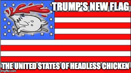 Trump's new flag | TRUMP'S NEW FLAG; THE UNITED STATES OF HEADLESS CHICKEN | image tagged in trump,headless chicken,flag,america,us flag | made w/ Imgflip meme maker