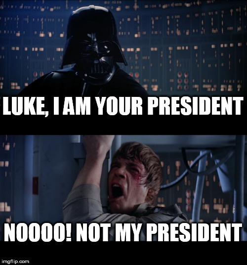 Star Wars No Meme | LUKE, I AM YOUR PRESIDENT; NOOOO! NOT MY PRESIDENT | image tagged in memes,star wars no | made w/ Imgflip meme maker