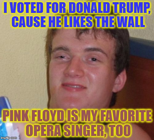 10 Guy | I VOTED FOR DONALD TRUMP, CAUSE HE LIKES THE WALL; PINK FLOYD IS MY FAVORITE OPERA SINGER, TOO | image tagged in memes,10 guy | made w/ Imgflip meme maker