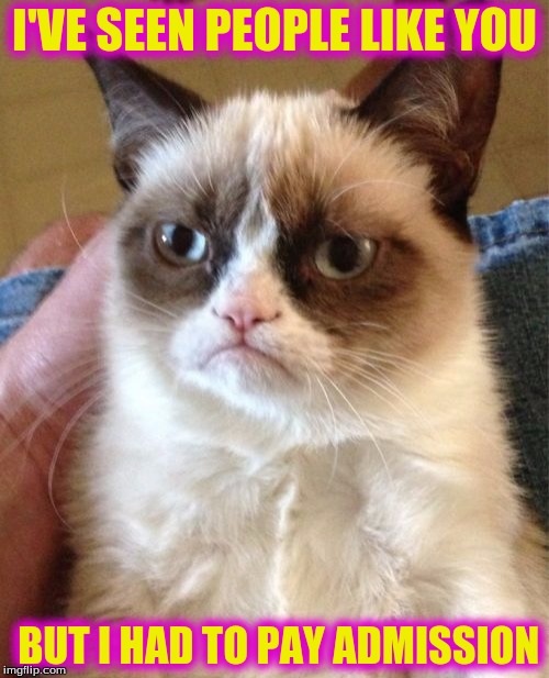 Grumpy Cat | I'VE SEEN PEOPLE LIKE YOU; BUT I HAD TO PAY ADMISSION | image tagged in memes,grumpy cat | made w/ Imgflip meme maker