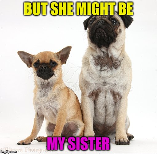 BUT SHE MIGHT BE MY SISTER | made w/ Imgflip meme maker
