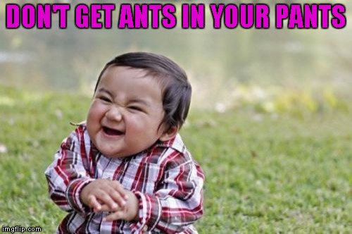 Evil Toddler Meme | DON'T GET ANTS IN YOUR PANTS | image tagged in memes,evil toddler | made w/ Imgflip meme maker