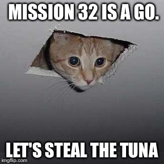 Ceiling Cat | MISSION 32 IS A GO. LET'S STEAL THE TUNA | image tagged in memes,ceiling cat | made w/ Imgflip meme maker