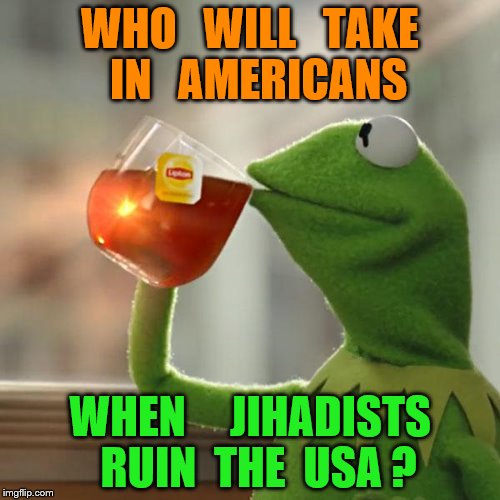 But That's None Of My Business | WHO   WILL   TAKE  IN   AMERICANS; WHEN     JIHADISTS  RUIN  THE  USA ? | image tagged in memes,but thats none of my business,kermit the frog | made w/ Imgflip meme maker