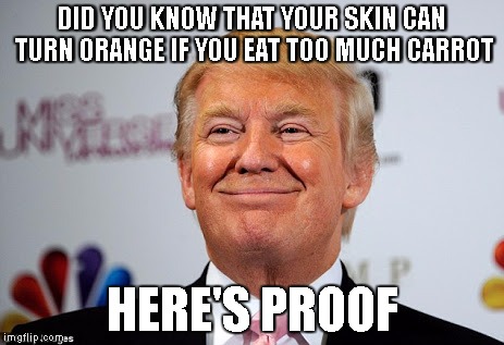 Donald trump approves | DID YOU KNOW THAT YOUR SKIN CAN TURN ORANGE IF YOU EAT TOO MUCH CARROT; HERE'S PROOF | image tagged in donald trump,carrots,fact,politics | made w/ Imgflip meme maker