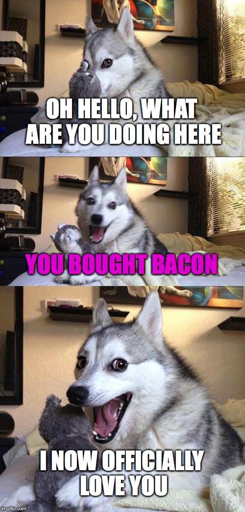 Bad Pun Dog | OH HELLO, WHAT ARE YOU DOING HERE; YOU BOUGHT BACON; I NOW OFFICIALLY LOVE YOU | image tagged in memes,bad pun dog | made w/ Imgflip meme maker