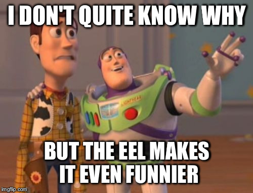 X, X Everywhere Meme | I DON'T QUITE KNOW WHY BUT THE EEL MAKES IT EVEN FUNNIER | image tagged in memes,x x everywhere | made w/ Imgflip meme maker