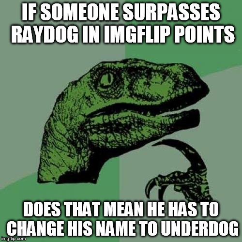 Philosoraptor | IF SOMEONE SURPASSES RAYDOG IN IMGFLIP POINTS; DOES THAT MEAN HE HAS TO CHANGE HIS NAME TO UNDERDOG | image tagged in memes,philosoraptor | made w/ Imgflip meme maker