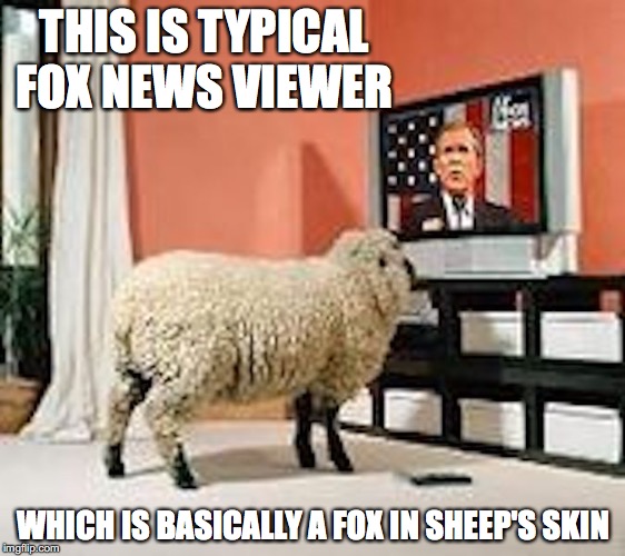 Typical Fox News Viewer | THIS IS TYPICAL FOX NEWS VIEWER; WHICH IS BASICALLY A FOX IN SHEEP'S SKIN | image tagged in fox news,memes | made w/ Imgflip meme maker