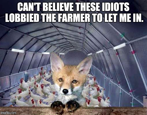 Feelings trump logic  | CAN'T BELIEVE THESE IDIOTS LOBBIED THE FARMER TO LET ME IN. | image tagged in memes,political correctness | made w/ Imgflip meme maker