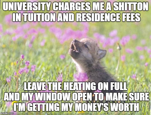Baby Insanity Wolf Meme | UNIVERSITY CHARGES ME A SHITTON IN TUITION AND RESIDENCE FEES; LEAVE THE HEATING ON FULL AND MY WINDOW OPEN TO MAKE SURE I'M GETTING MY MONEY'S WORTH | image tagged in memes,baby insanity wolf,AdviceAnimals | made w/ Imgflip meme maker