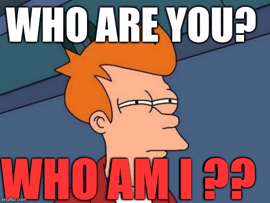 Futurama Fry Meme | WHO ARE YOU? WHO AM I ?? | image tagged in memes,futurama fry | made w/ Imgflip meme maker
