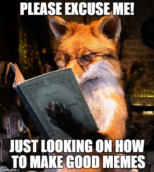 Need to make memes again | PLEASE EXCUSE ME! JUST LOOKING ON HOW TO MAKE GOOD MEMES | image tagged in bookworm fox,fox,book,meme,reading,helpmemakegoodmemesagain | made w/ Imgflip meme maker